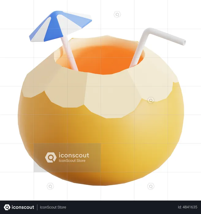Coconut Juice  3D Icon