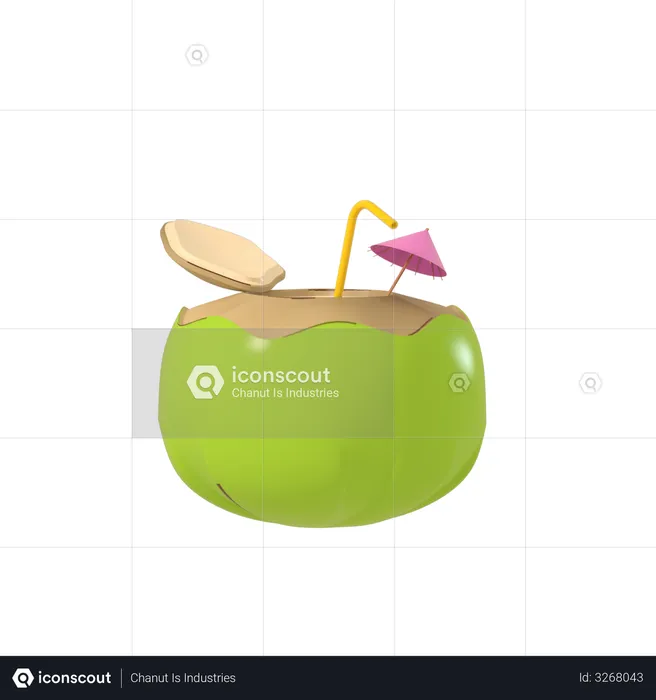 Coconut Juice  3D Illustration