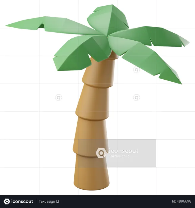 Coconut palm tree  3D Icon