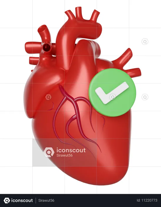 Coeur avec une coche  3D Icon