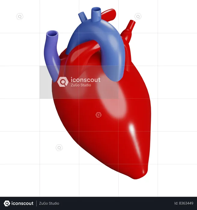 Cœur humain  3D Icon