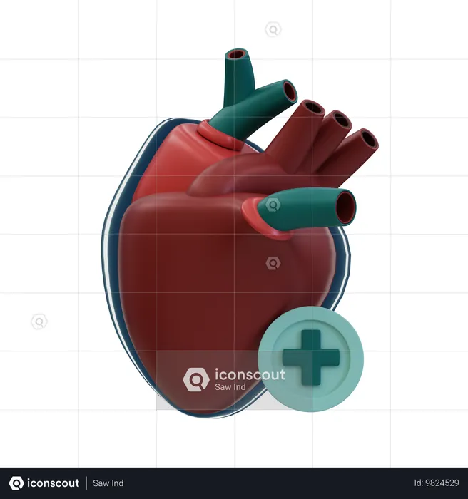 Coeur en bonne santé  3D Icon