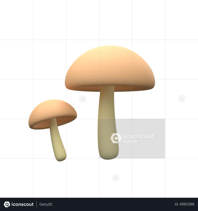 Cogumelos mágicos  3D Icon