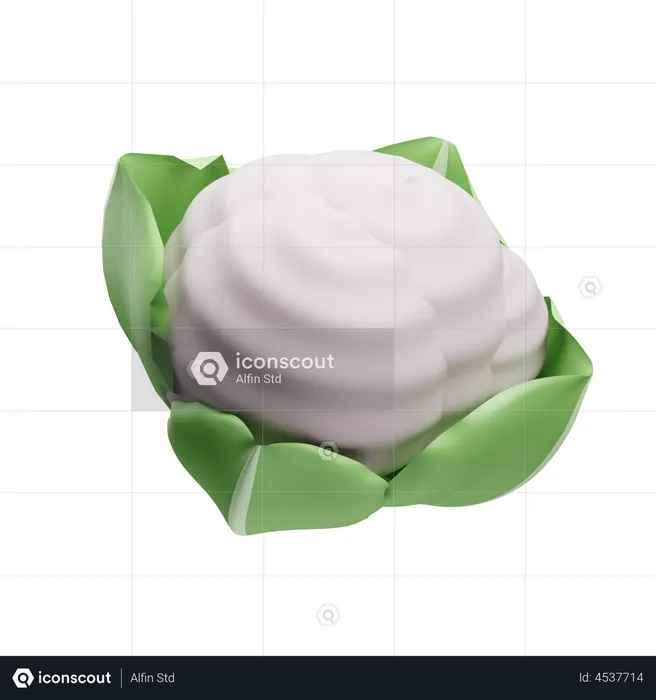 Coliflor  3D Illustration