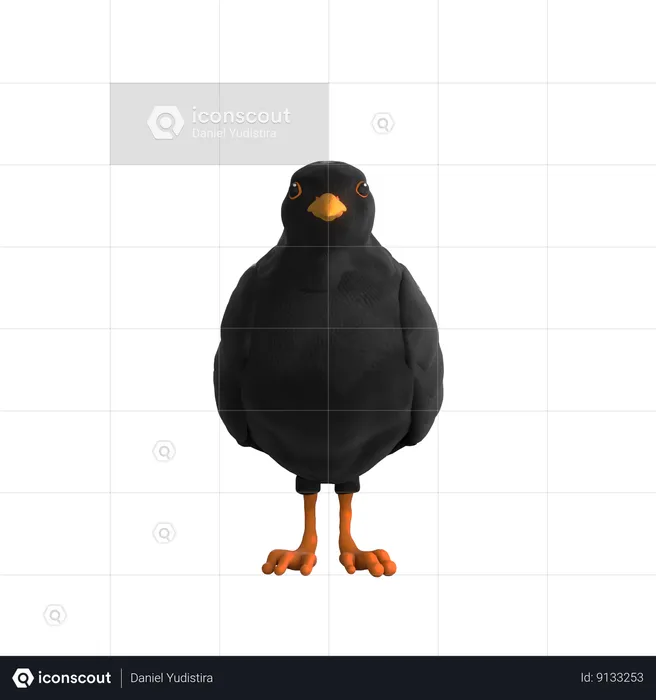 Colley Bird  3D Icon