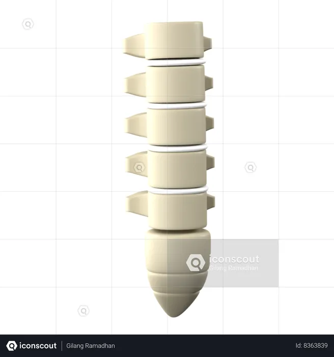 Colonne vertébrale  3D Icon