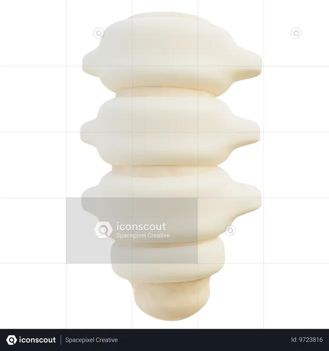 Colonne vertébrale  3D Icon