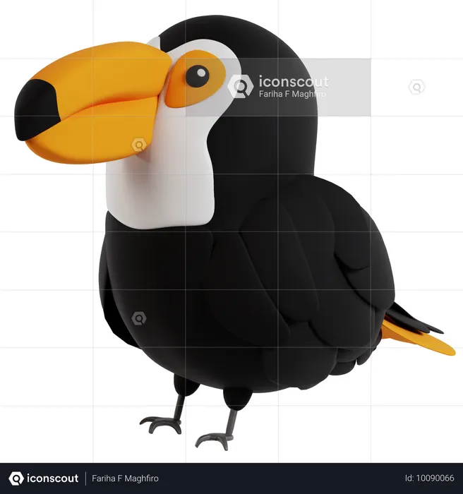 Colorful Toucan Perched  3D Icon