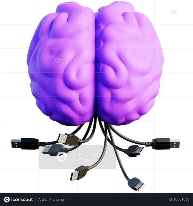 Concepto de conexión USB y cerebro  3D Icon