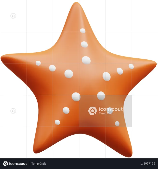 Concha de estrella  3D Icon