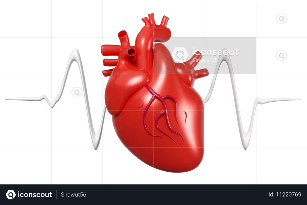 Coração com frequência cardíaca  3D Icon