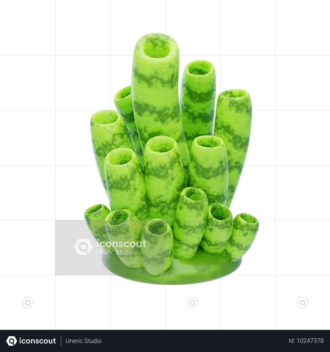 Corail tube vert  3D Icon