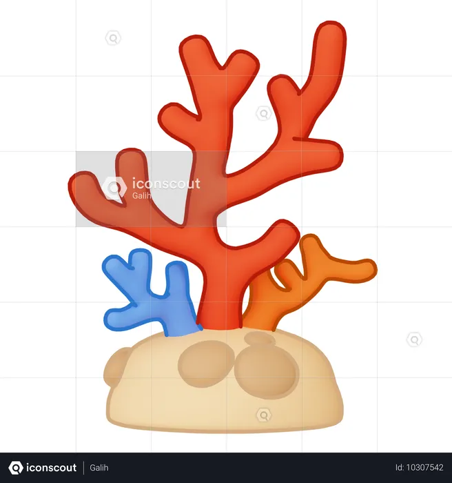 Coral  3D Icon