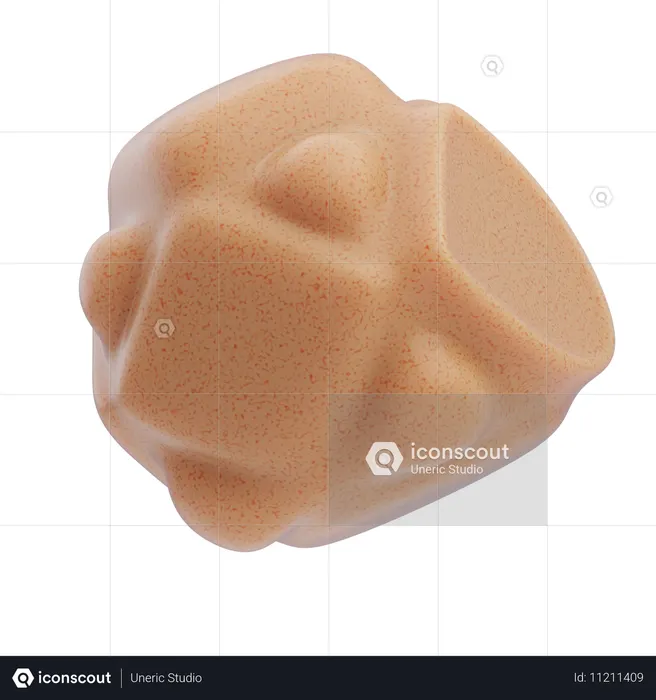 Coral Pebble  3D Icon
