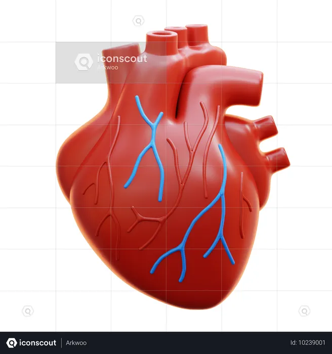 Corazón  3D Icon