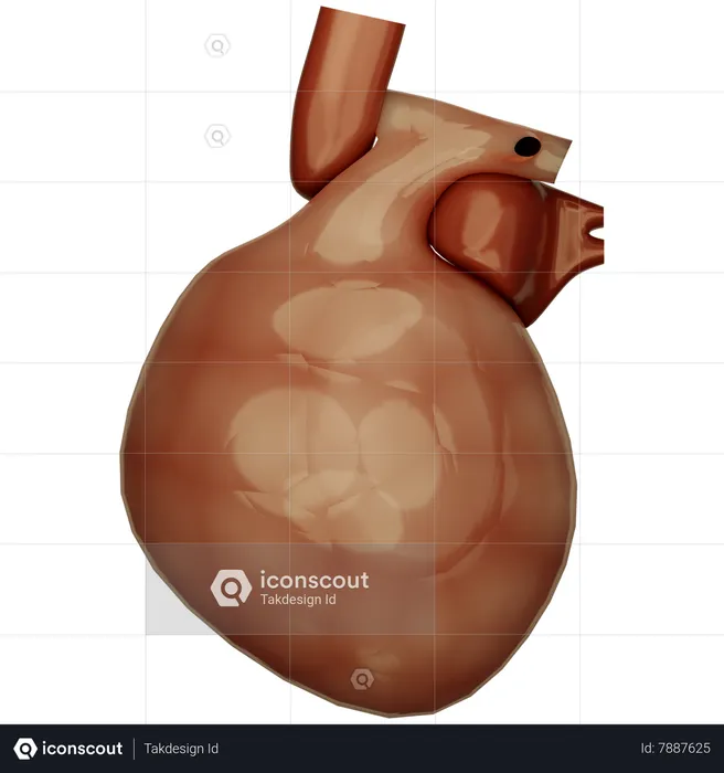 Corazón humano  3D Icon