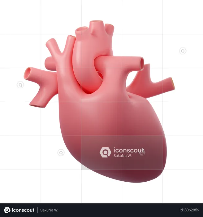 Corazón humano  3D Icon