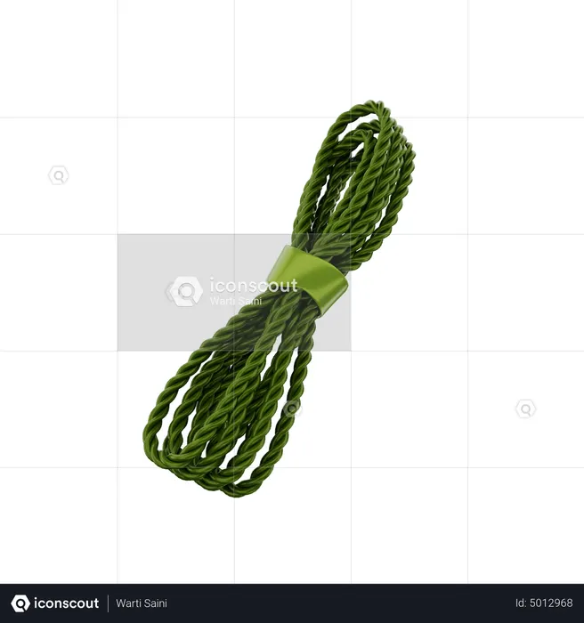 Corda de acampamento  3D Icon