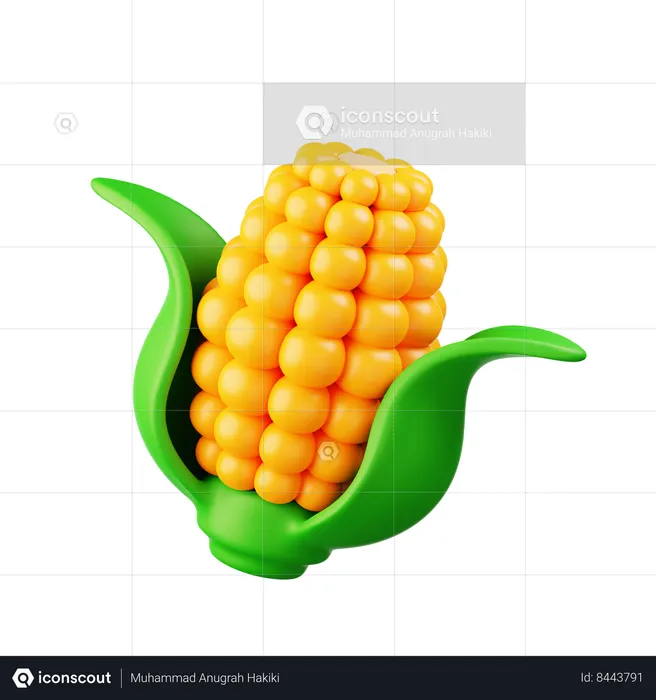 Corn  3D Icon