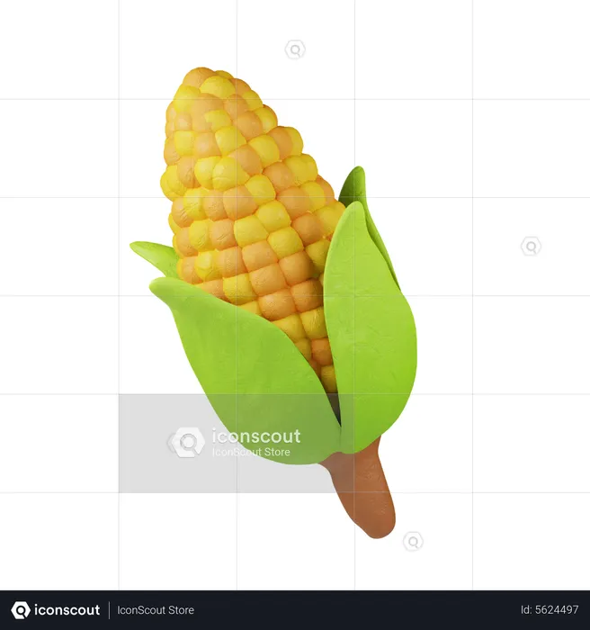 Corn  3D Icon