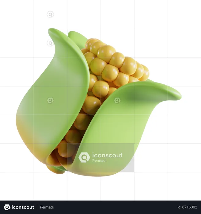 Corn  3D Icon