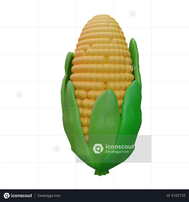 Corn  3D Icon