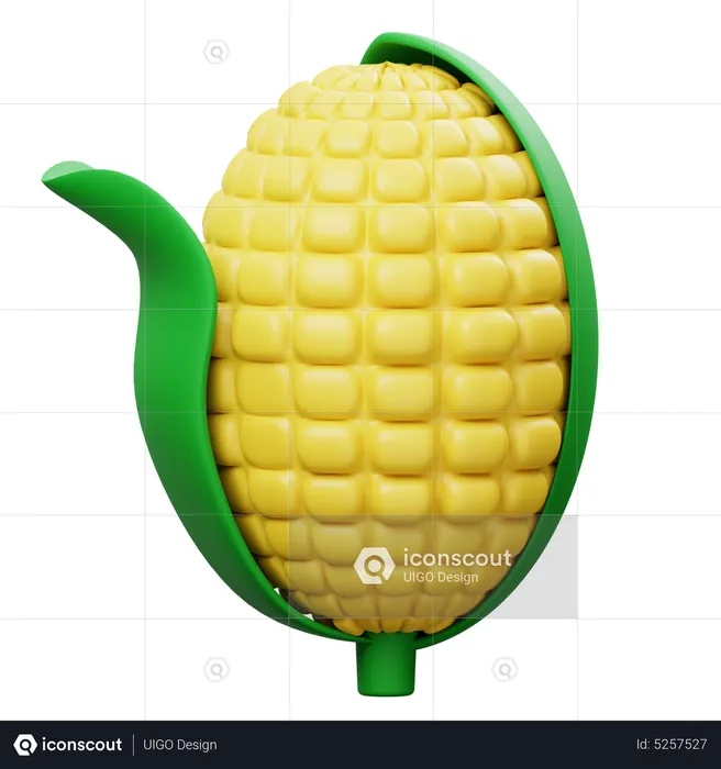 Corn  3D Icon