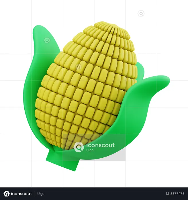 Corn  3D Illustration