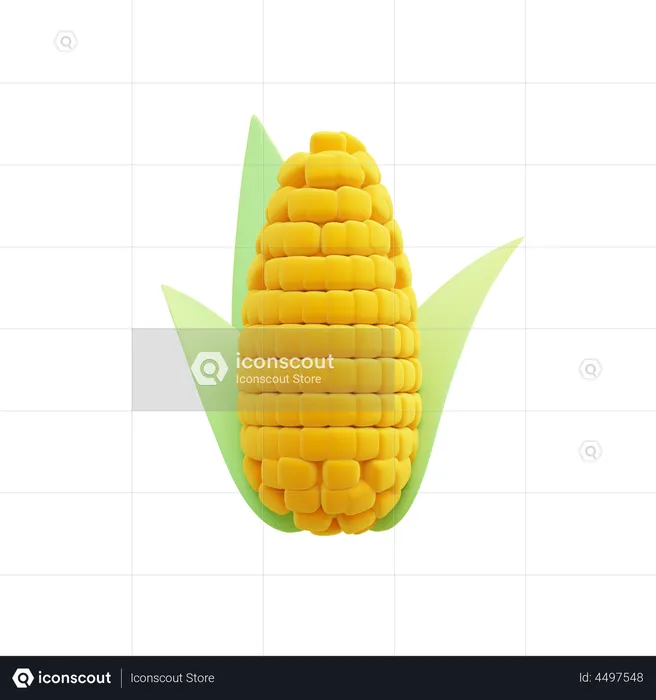 Corn  3D Illustration