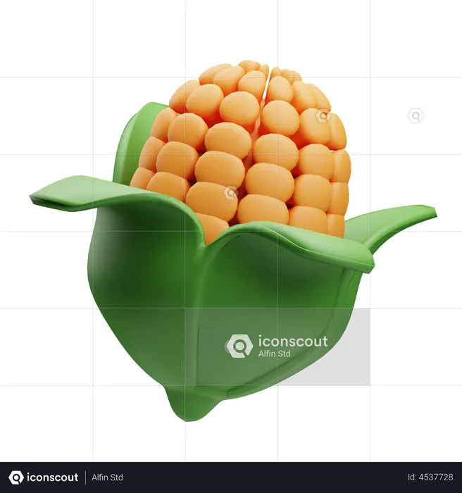 Corn  3D Illustration