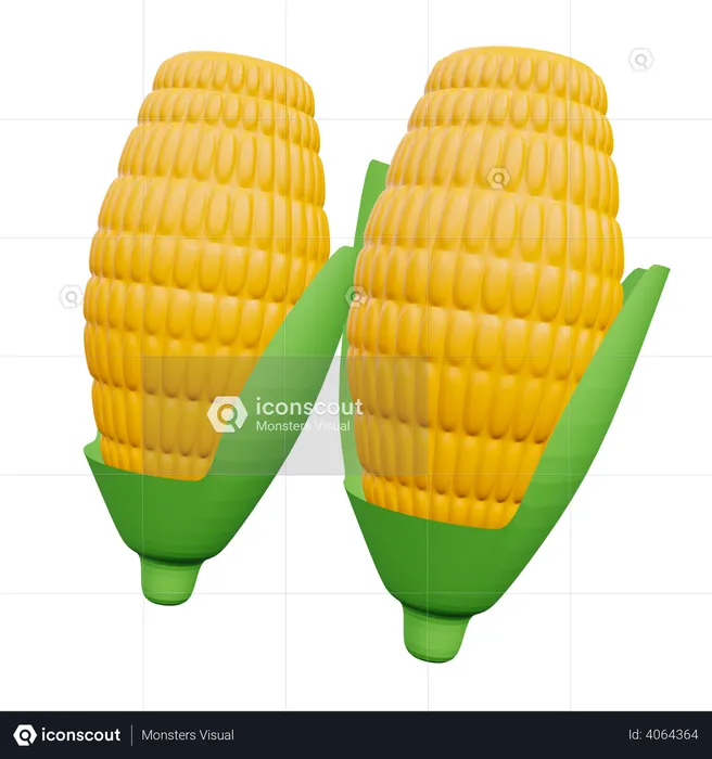 Corns  3D Illustration