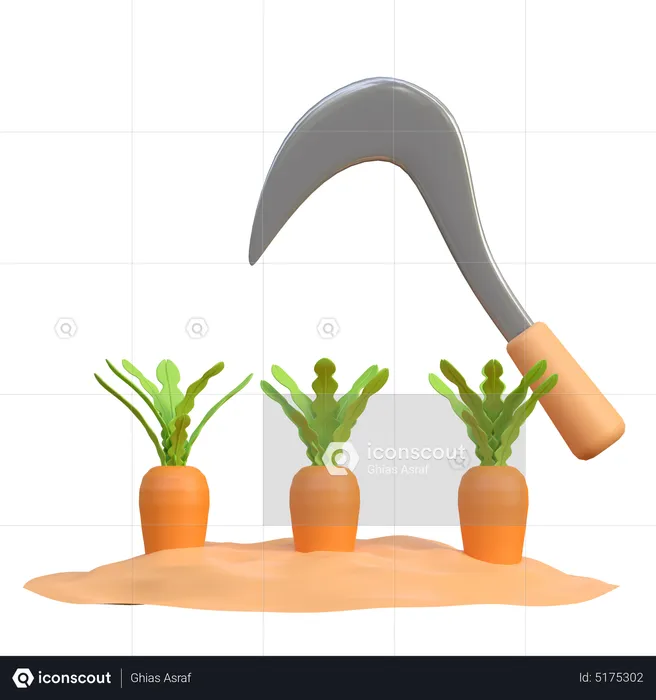 Cosecha de zanahorias  3D Icon