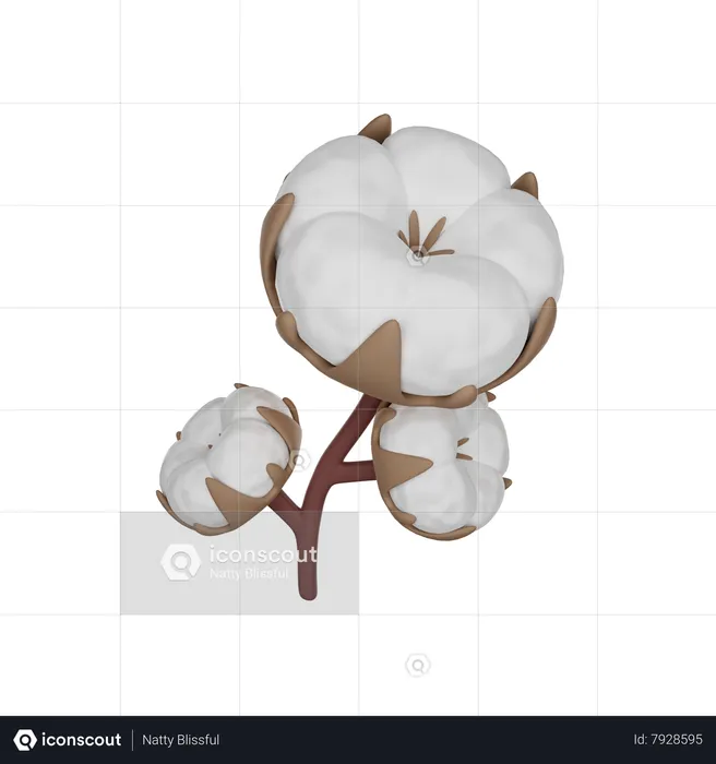 Cotton  3D Icon