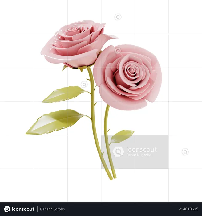 Couple of rose flower  3D Illustration