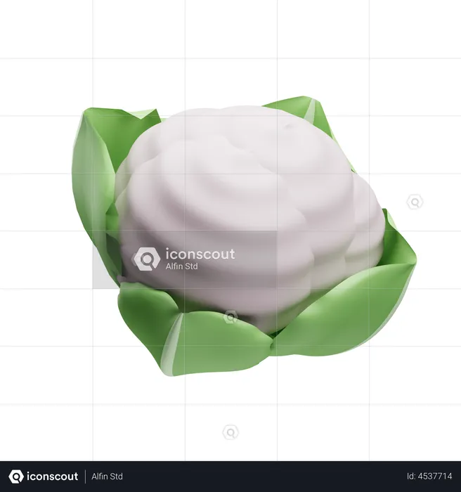 Couve-flor  3D Illustration