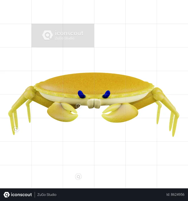 Crabe océanique  3D Icon