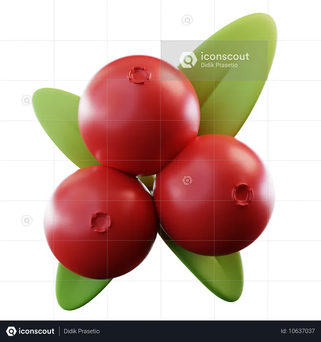 Cranberries  3D Icon