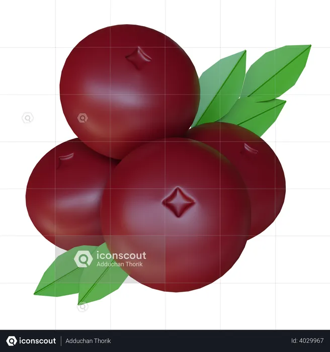 Cranberries  3D Illustration