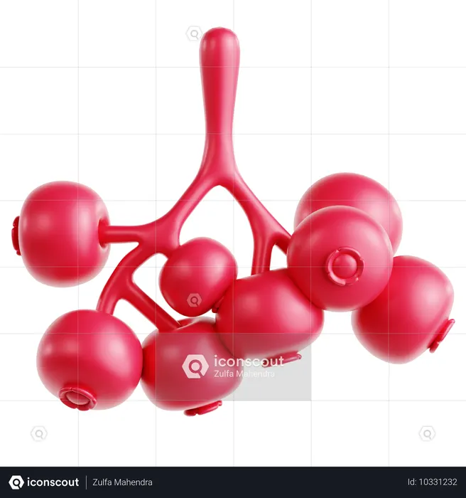Cranberry  3D Icon