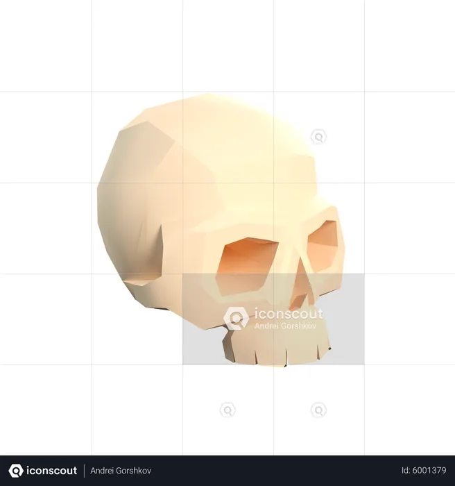 Cráneo  3D Icon