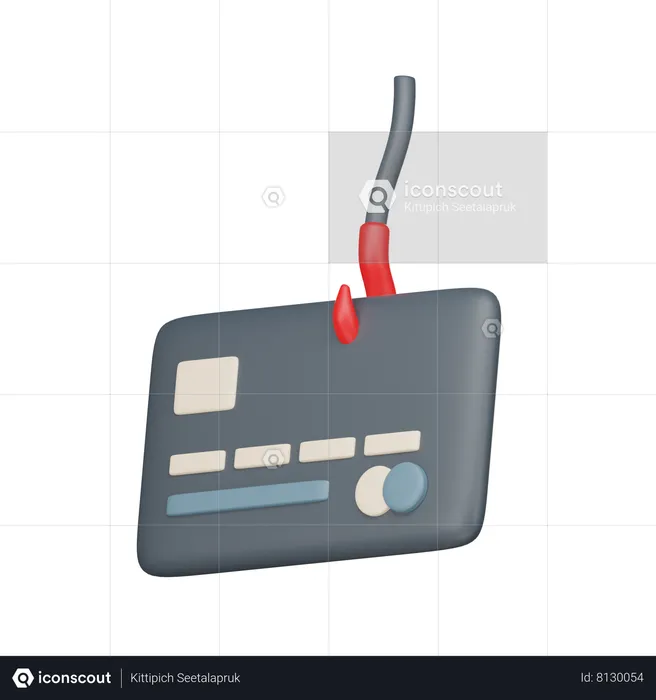 Credit Card Phishing  3D Icon