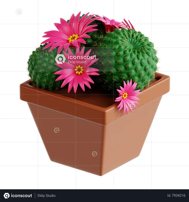 Crown Cactus  3D Icon