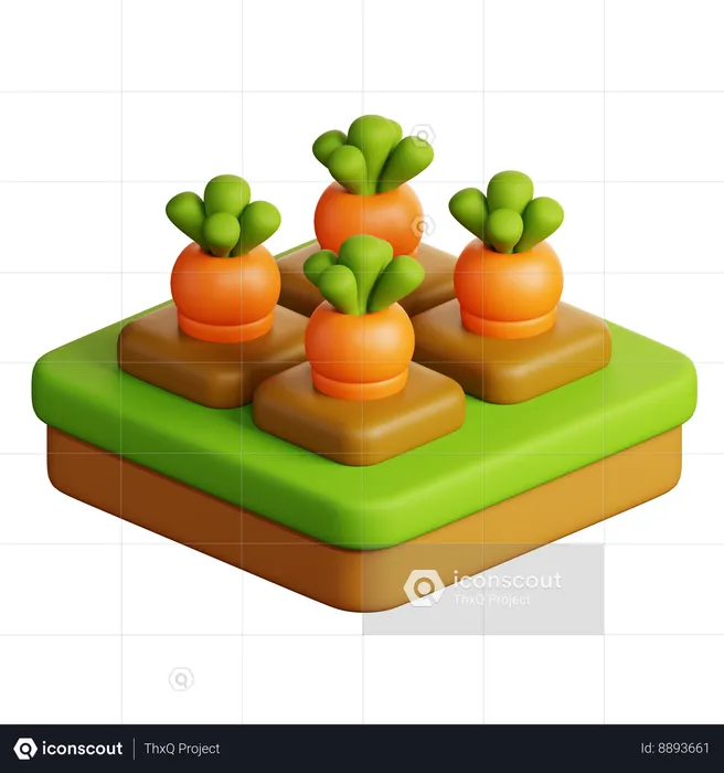 Cultivo de zanahoria  3D Icon