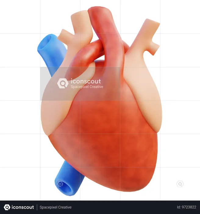 Cuore  3D Icon