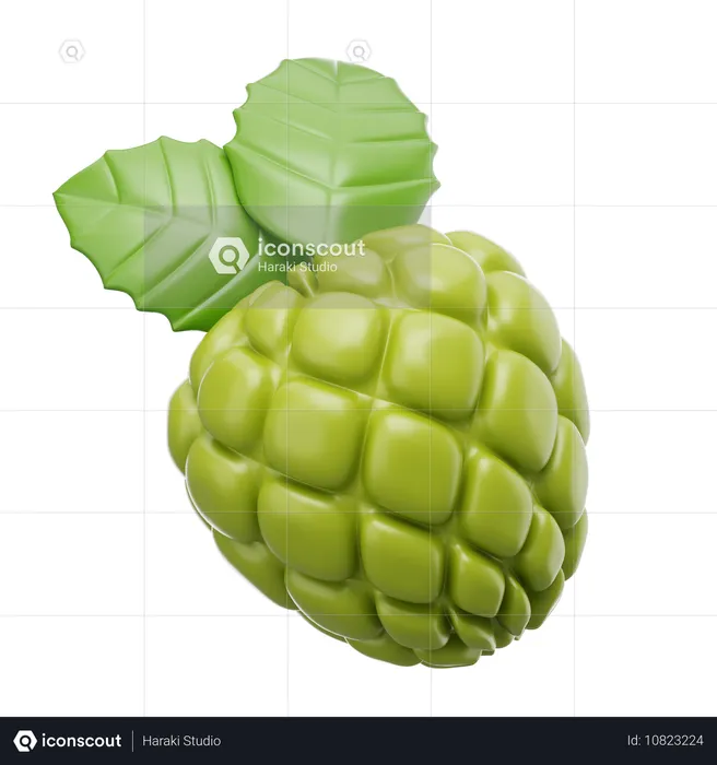 Custard Apple  3D Icon