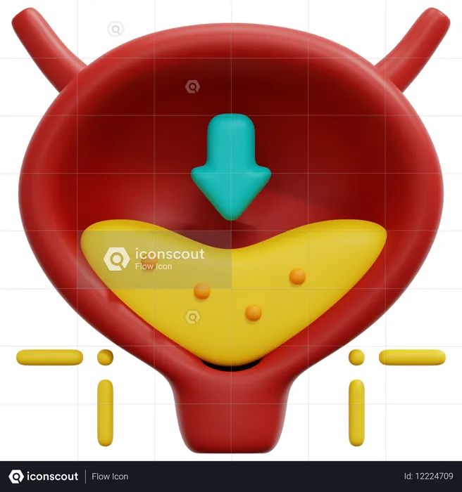 Cystitis  3D Icon