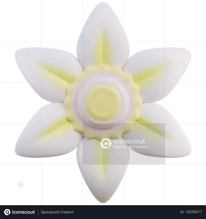 Daffodil  3D Icon