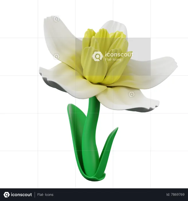 Daffodil  3D Icon