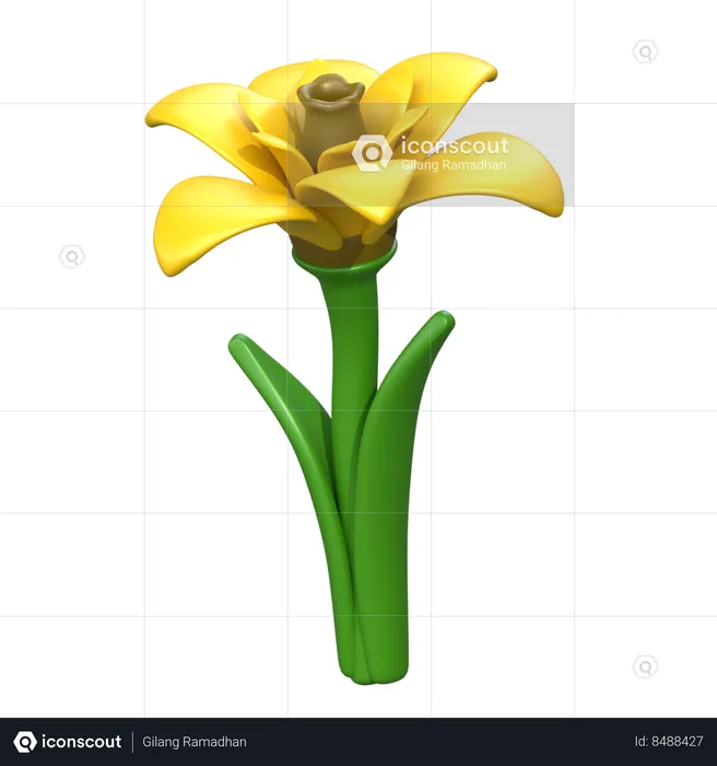Daffodil Flower  3D Icon
