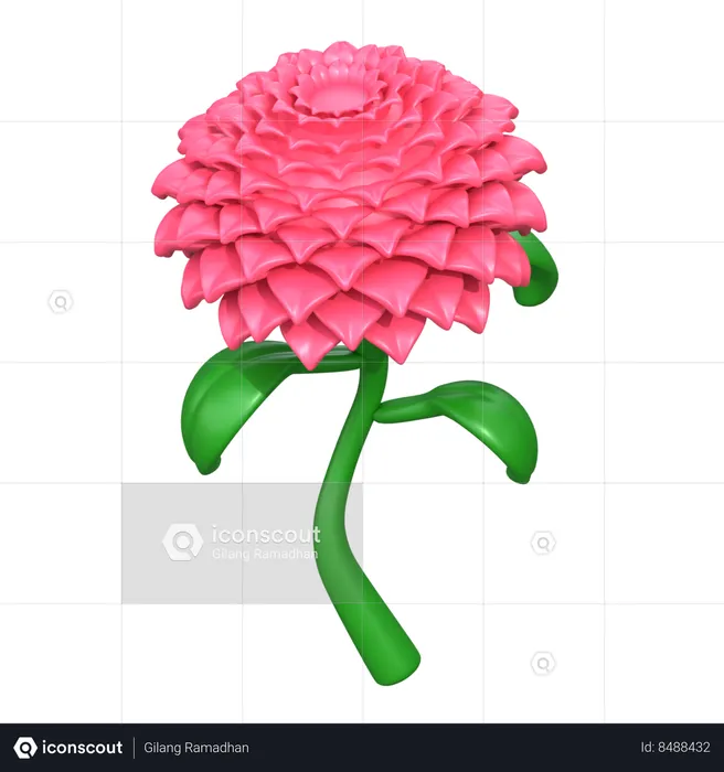 Dahlia Flower  3D Icon